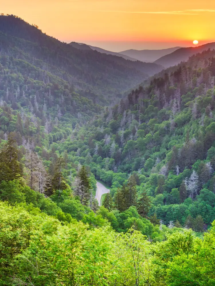 Essence of Tranquility Hot Springs
