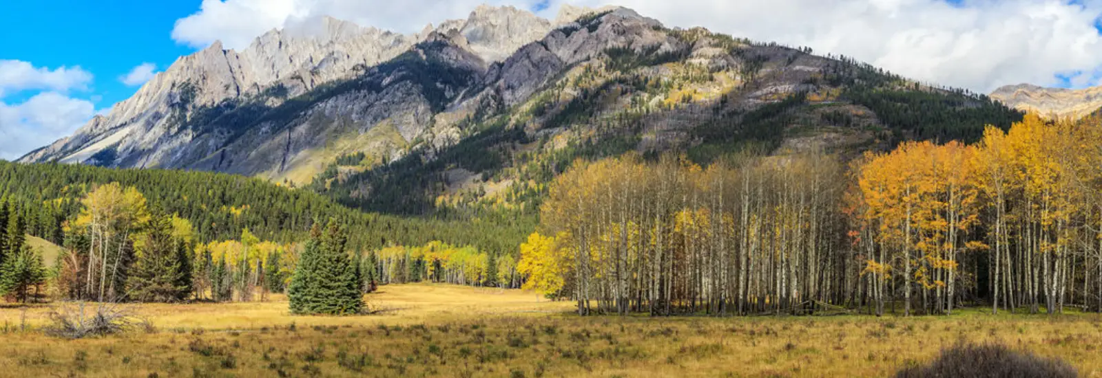 Safford Arizona Historic Sites Safford Arizona Historic Sites