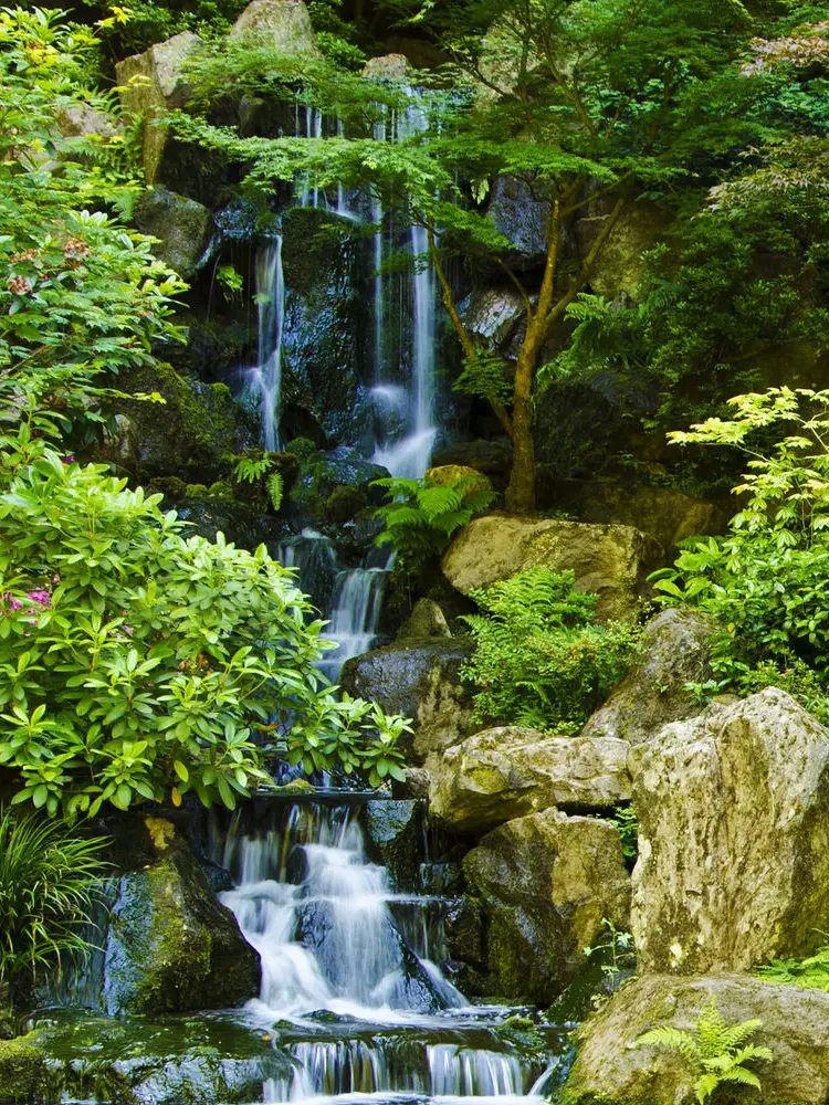 Essence of Tranquility Hot Springs