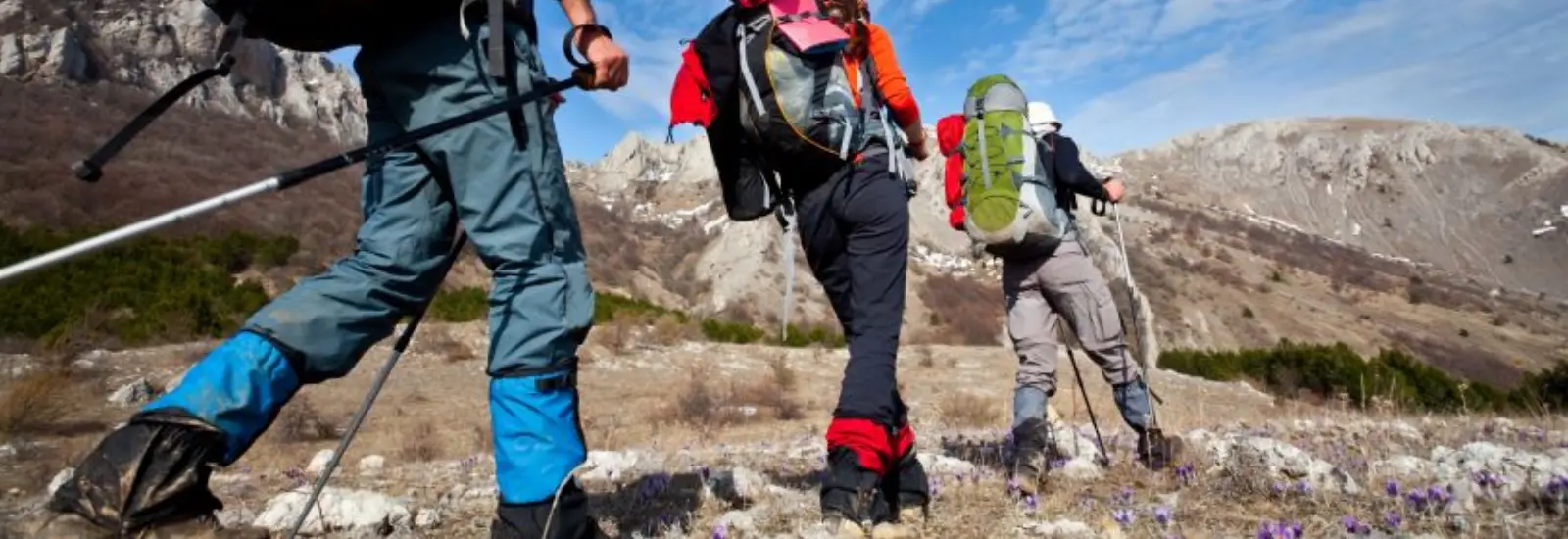 Discovery Park Safford